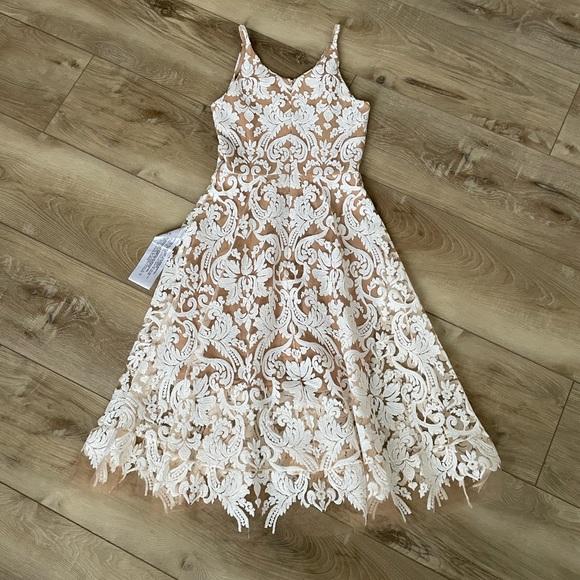 Dress the Population Blair Floral Lace Dress. - Picture 8 of 17